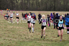 Junior womens 2018 Northern Cross Country Champs., Harewood House, Leeds. Photo: David T. Hewitson/Sports for All Pics